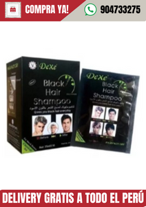 SHAMPOO CUBRE CANAS